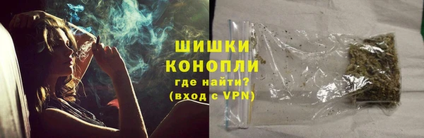 ECSTASY Горняк