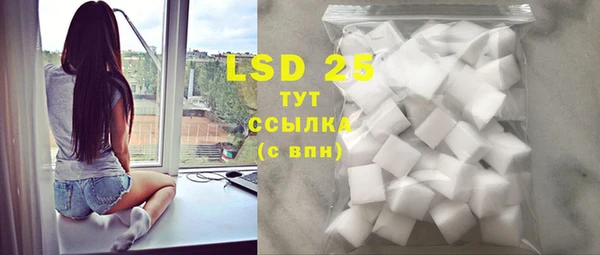 ECSTASY Горняк