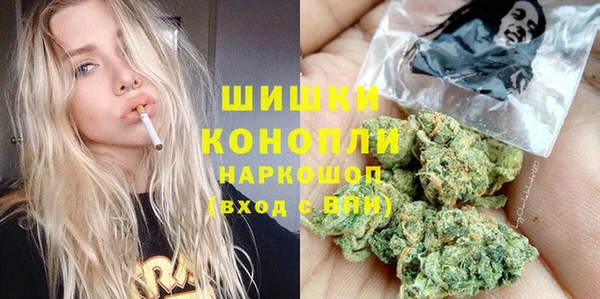 ECSTASY Горняк