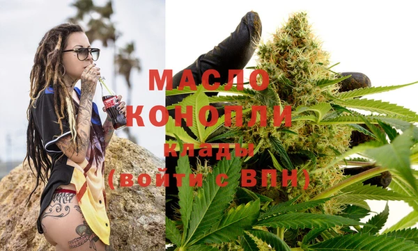 ECSTASY Горняк
