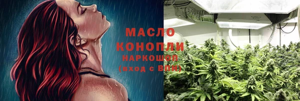 ECSTASY Горняк