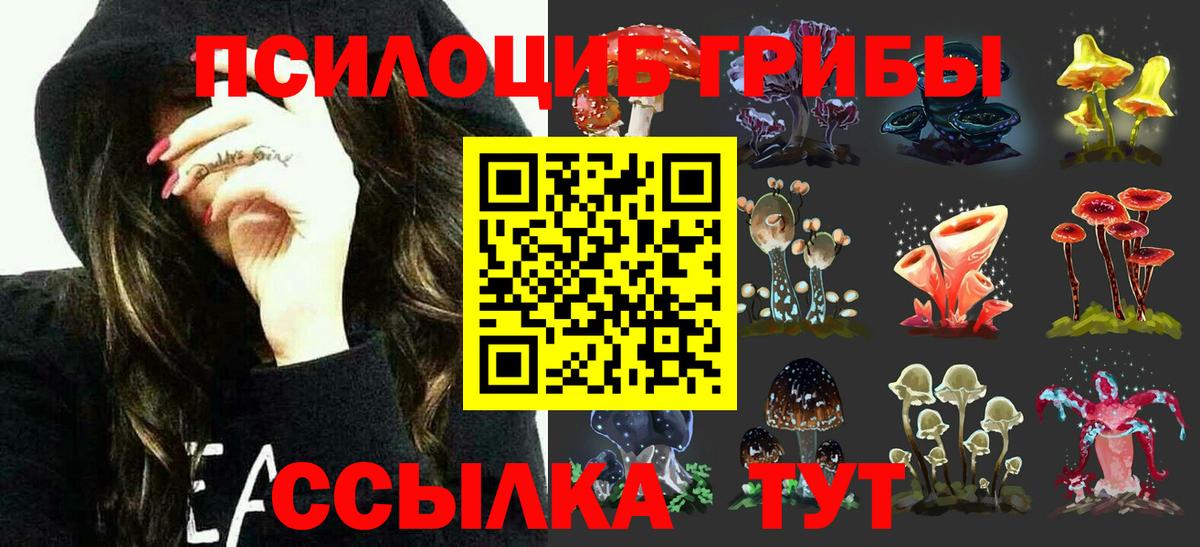 Можайск  Псилоцибиновые грибы MAGIC MUSHROOMS  купить   Вход с VPN 