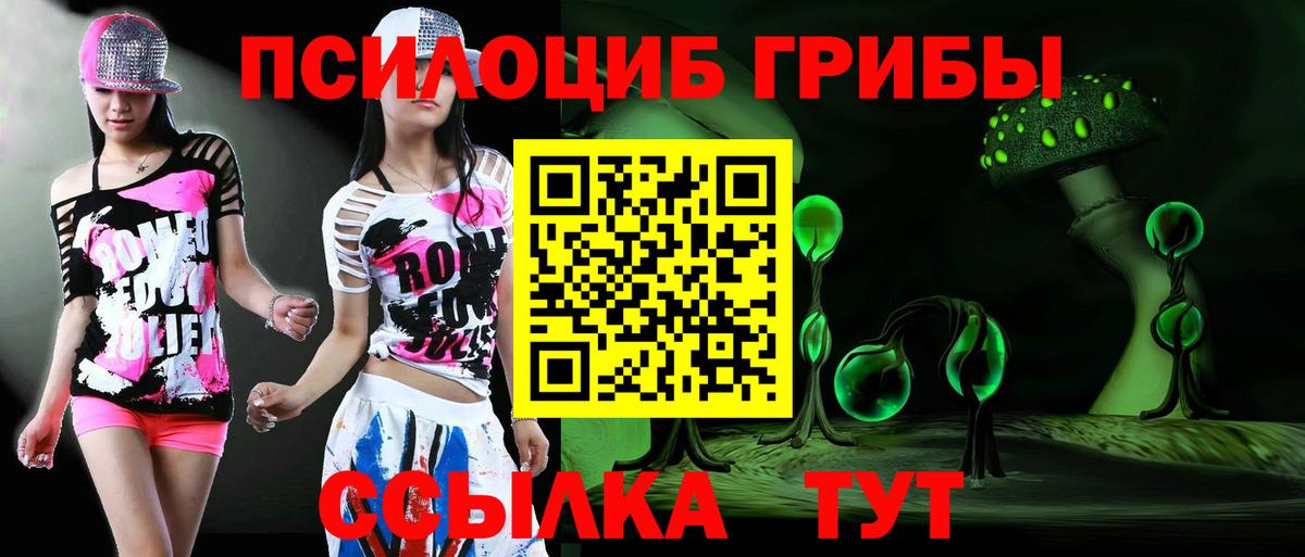 Галлюциногенные грибы мицелий  купить наркотик  Можайск 